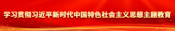 插逼789视频学习贯彻习近平新时代中国特色社会主义思想主题教育